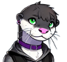 Skye Nylandir
